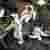 inscription a184d0129e97d485b71a7f9ebc30c4d949b52e29cf4d89da1d8e10733b03edb6i0